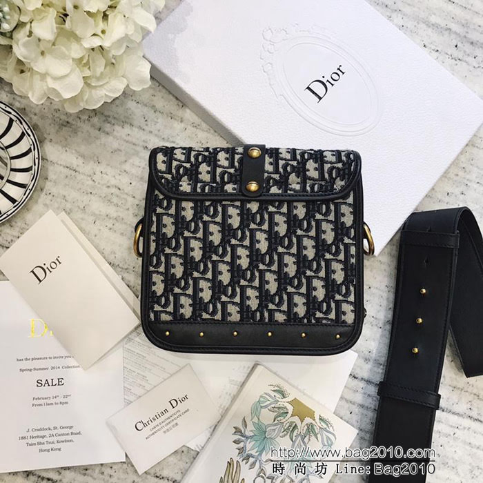 DIOR迪奧 經典款 帆布Logo bag 休閒百搭 鏈條斜挎包  zdo1117